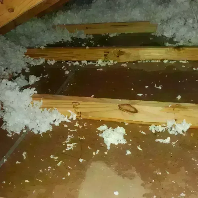 Attic Water Damage in Jack County, TX