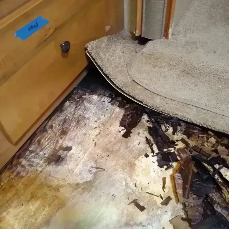 Wood Floor Water Damage in Jack County, TX